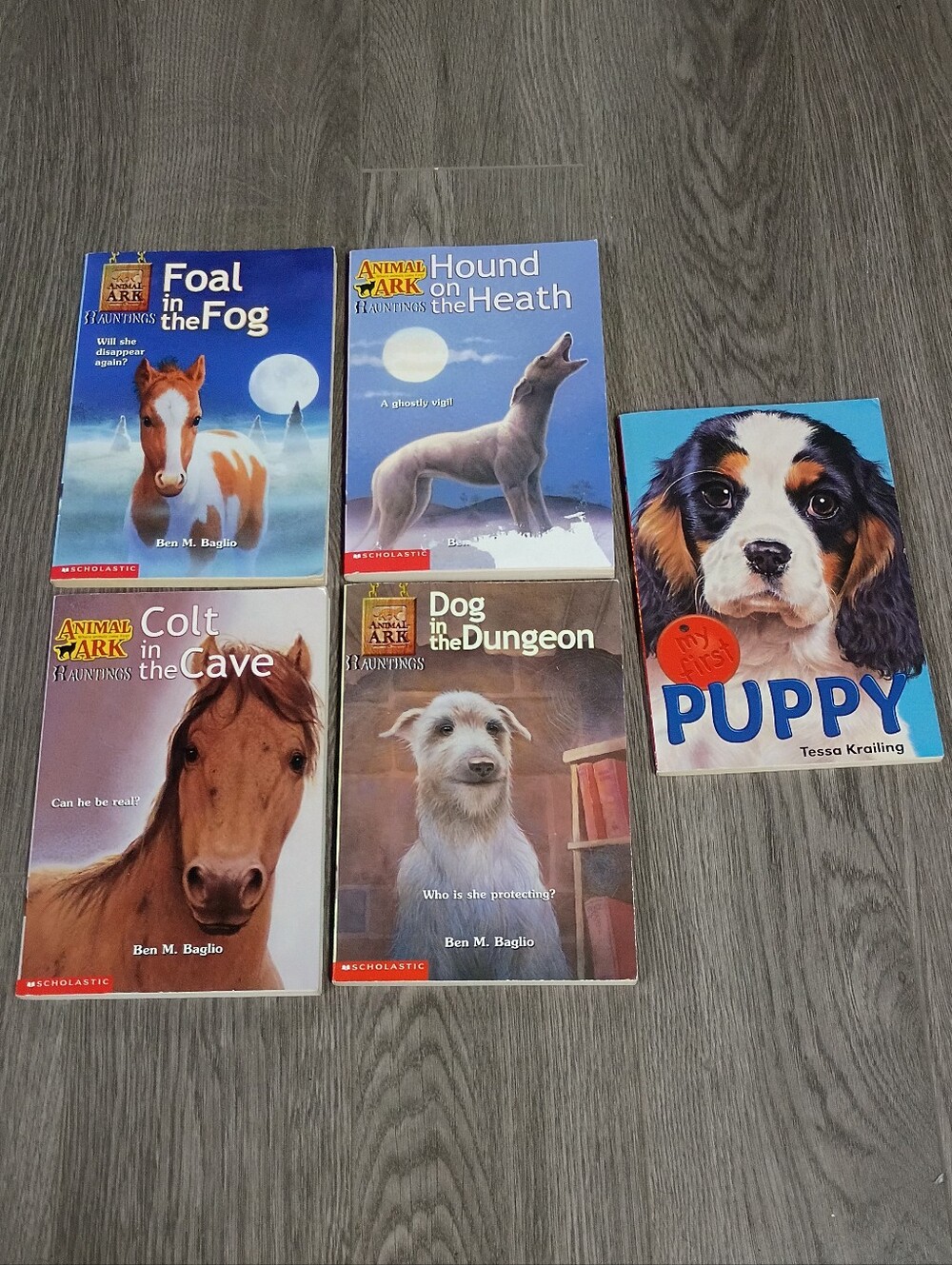 Animal Ark Kids Book Lot